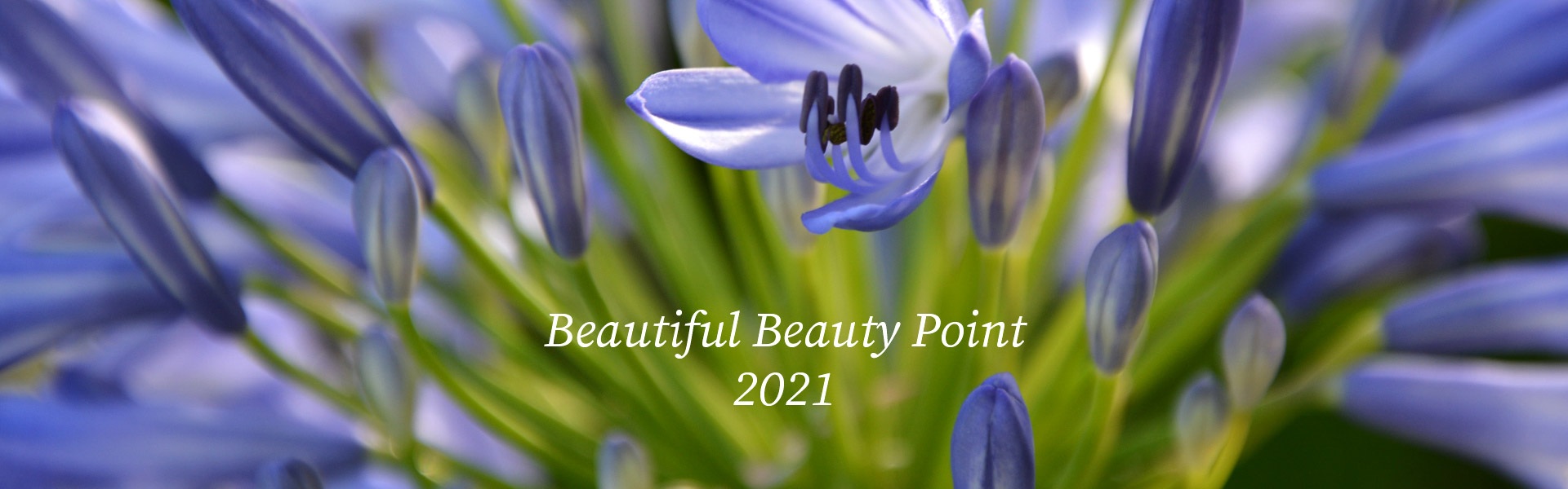 Beautiful Beauty Point